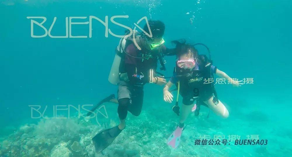 美妙森林找不同