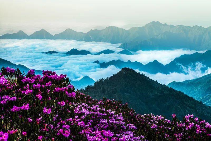 生化危机3